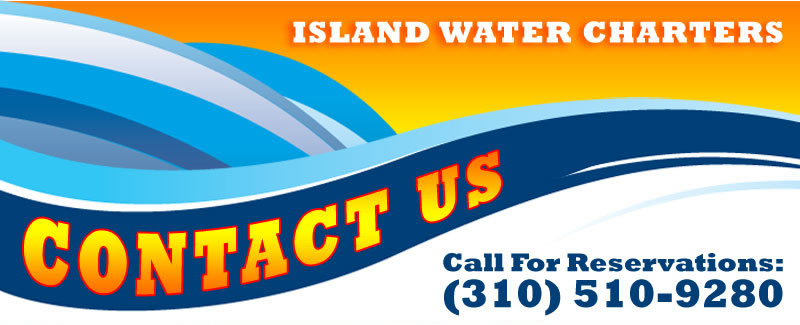 Contact Island Water Charters